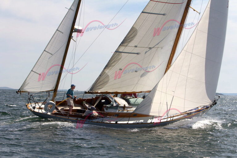 12.Misty on Wavelength 768x512