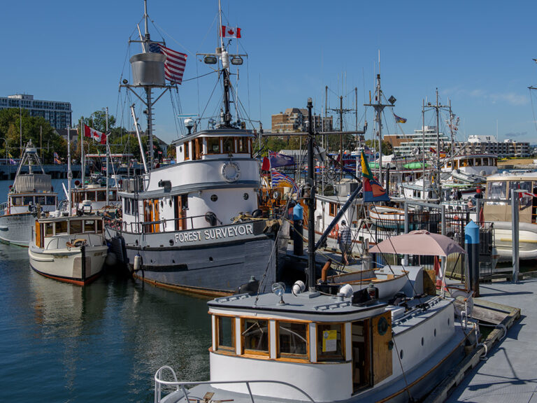 Sept 03 2022 MMMBC Classic Boat Festival 009 768x576