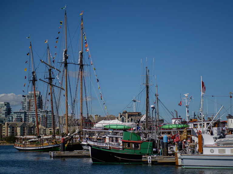 Sept 03 2022 MMMBC Classic Boat Festival 036 768x576