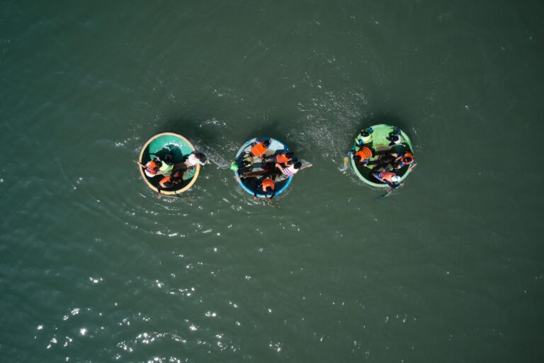 368245837 865819288401937 807467147294490294 n 768x512