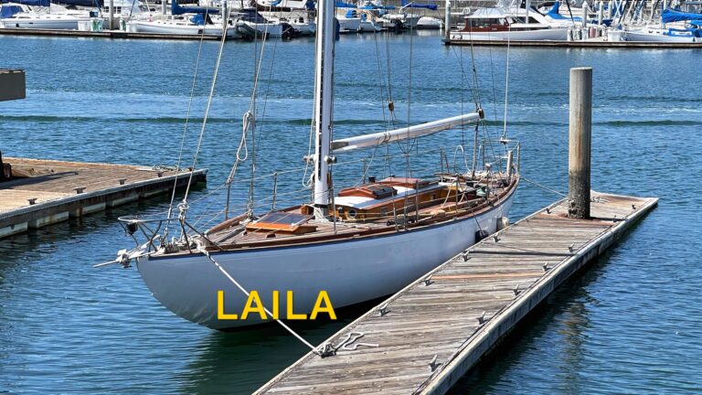 8 Meter Laila 768x432