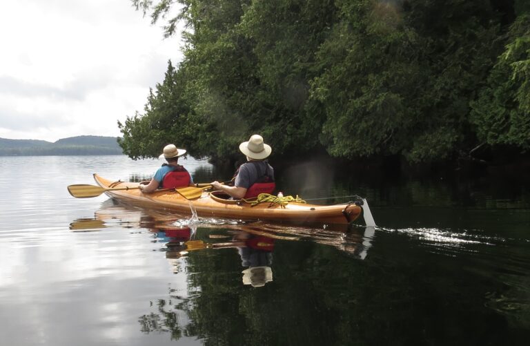 06AFD427 2123 4C63 956B 84379D7BECF2 1 201 a 768x501