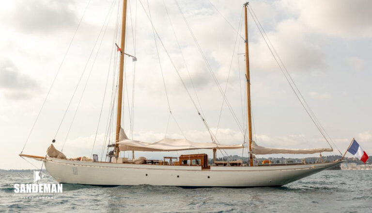 0x0 622 7549491961d43ef25a271 768x439