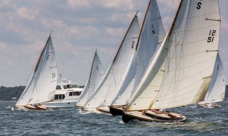 10500457 595562437231761 1095885823662709573 n 768x459