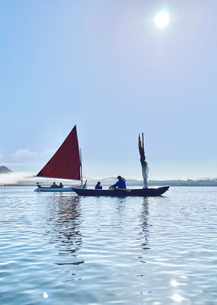 1BFFF9FB E53F 422D B987 770D693F6FC3 1 105 c