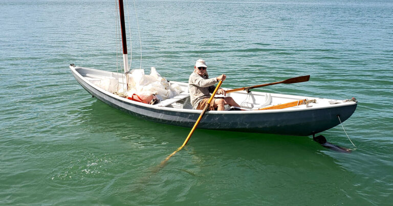 2 9 2024 croped 768x403