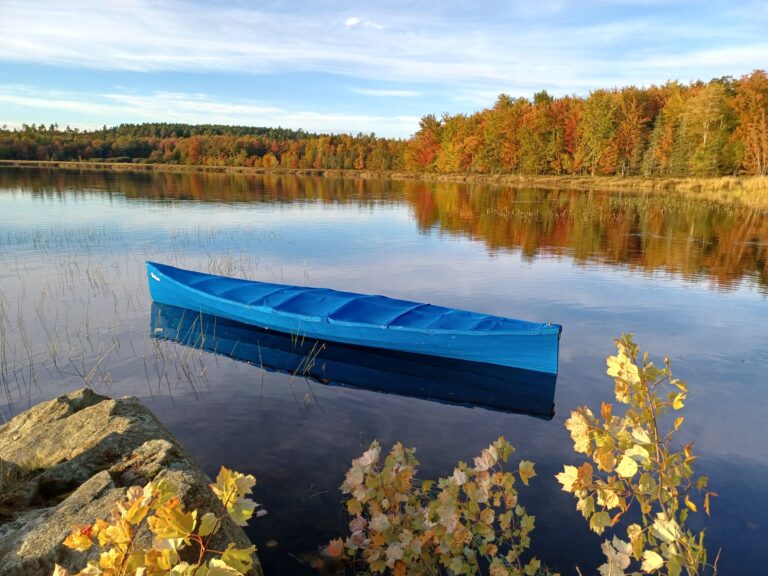 20221004 173357 768x576