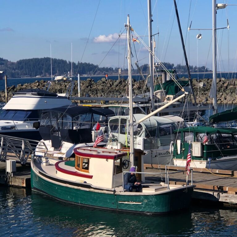 2023 08 23 12 09 54 1692817823 768x768