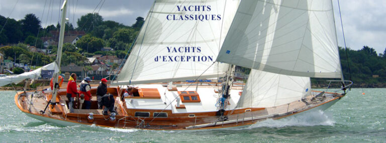 306600411 415254120763025 2747722618943579029 n 768x284