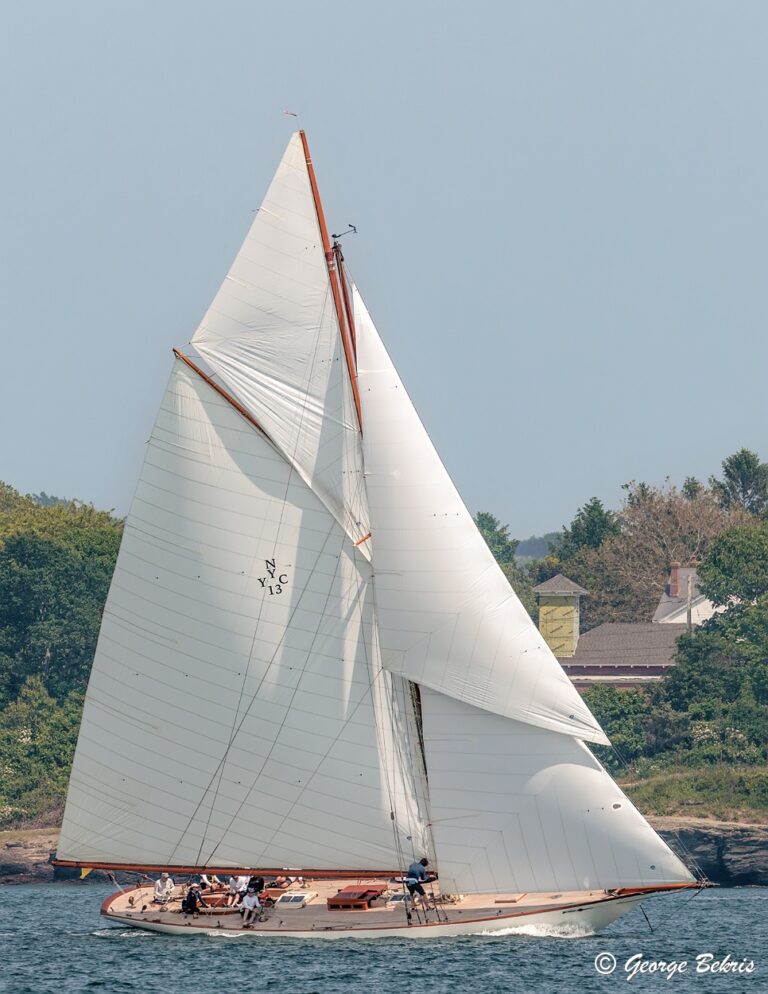 352420345 10161215631723598 3825039689982638830 n 768x994