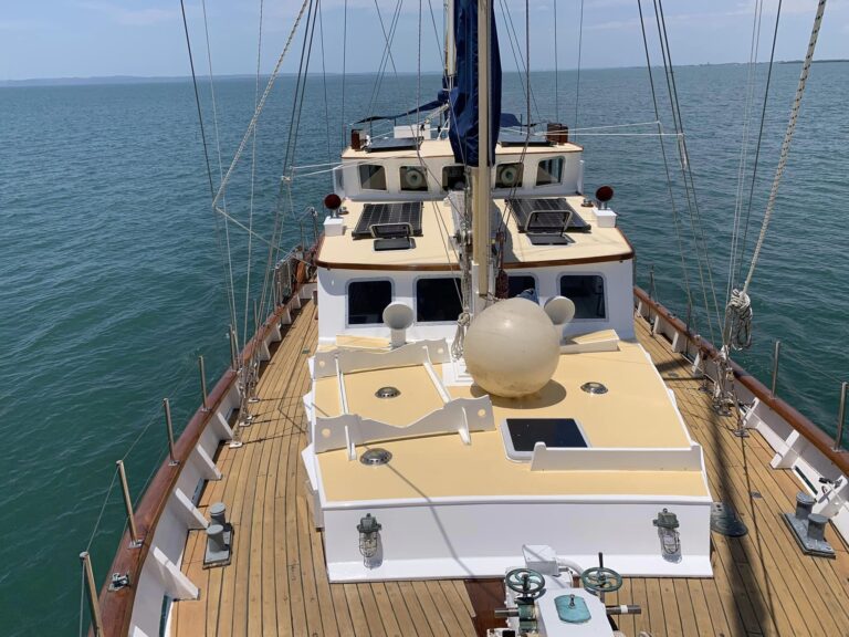 403682216 850815366735706 1284716769715953062 n 768x576