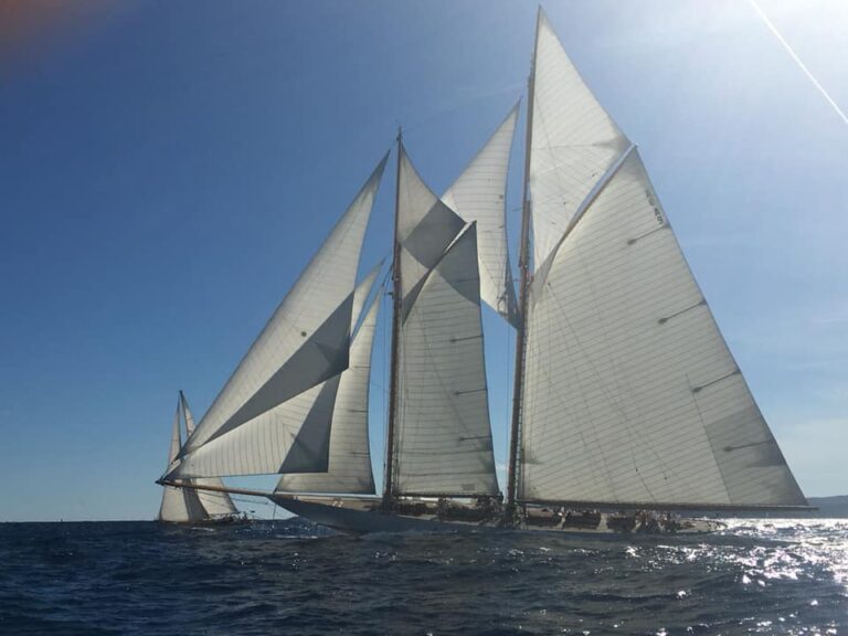 43078579 2043326845687404 4820524035781689344 n 768x576