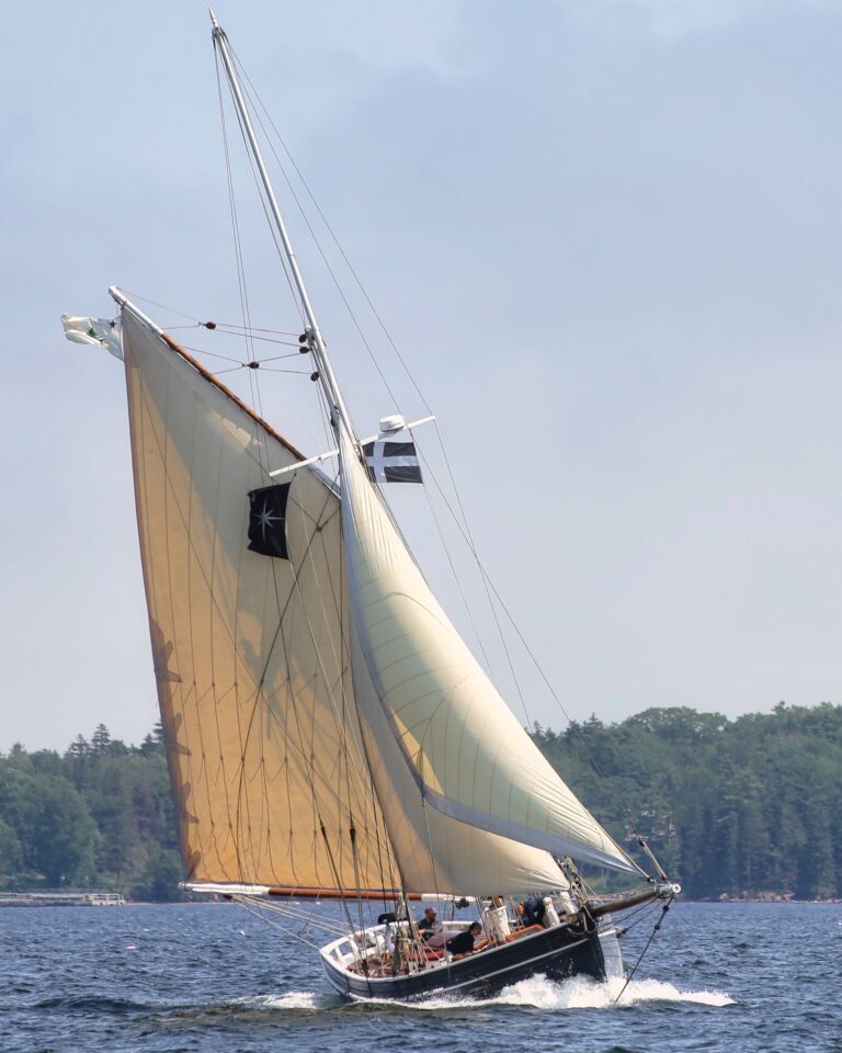 4BBB8C88 7BB3 4DB8 B5FA FC2B4E25ECC7 768x960