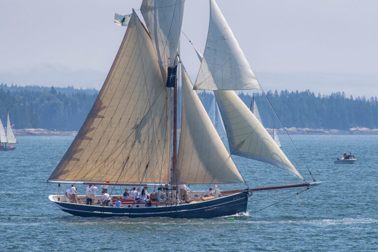 52277186940 db7eb6cd12 k 768x512