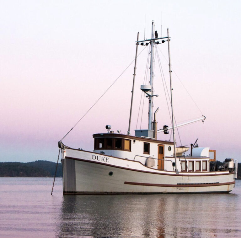 934E41D3 99D5 4814 9A00 671DA6B0B022 768x765