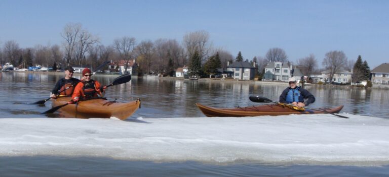 A168ED0C E798 444D 9AA6 D1CC7D9A9B5A 1 201 a 768x351