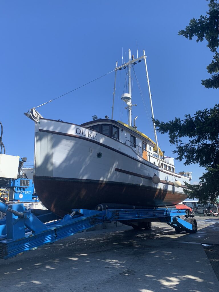 B680D69E 3A72 4A98 B34C F5798EB82A05 768x1024