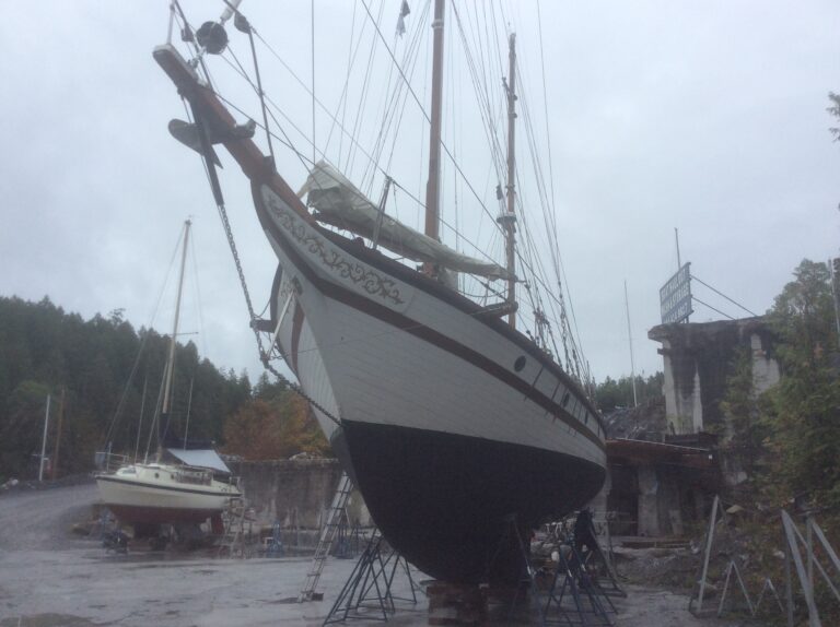 CBB20CBB B0AC 4F68 8F02 AAAD802F7E01 768x574