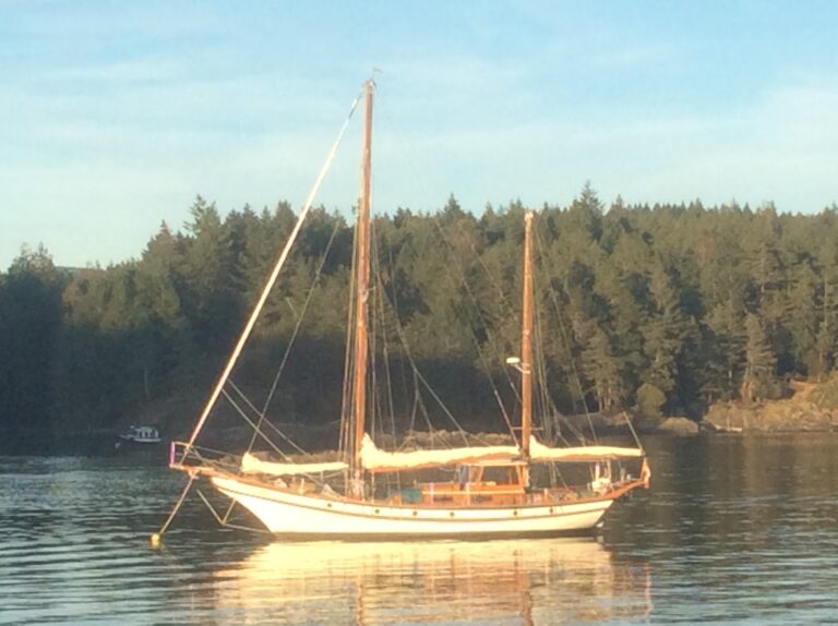 D3858934 8BFE 473E B3F3 D174D792A9B0 768x574