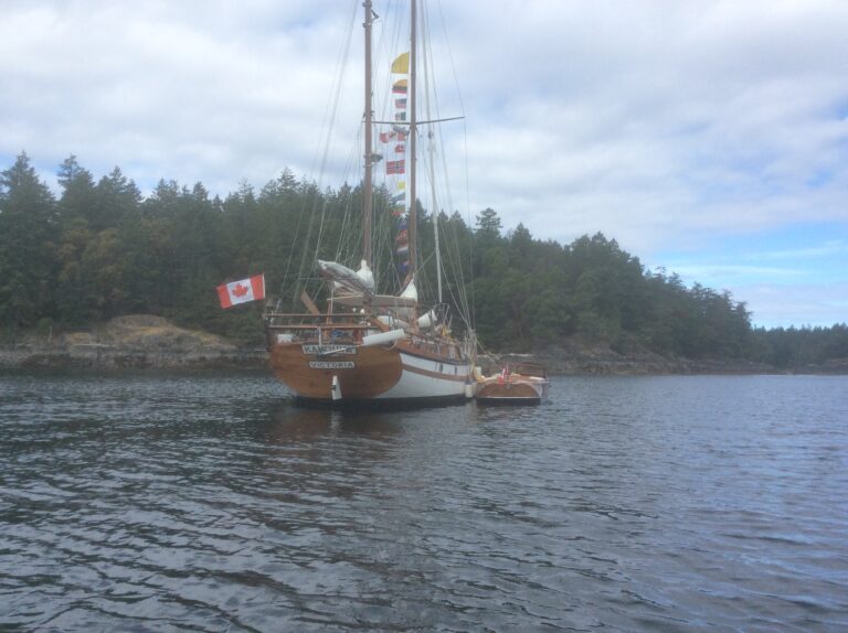 DA8713F7 62C0 41EB 8963 90ADB6B8E8A9 768x574