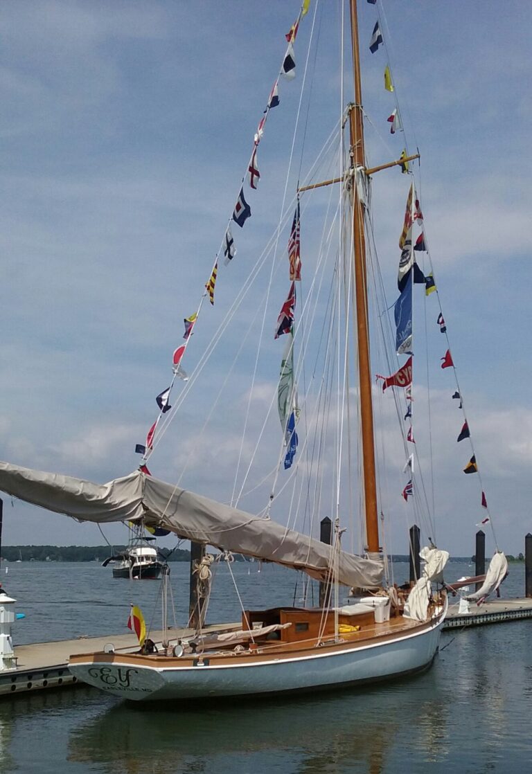 ELF full dress at TAYC dock 1 768x1118