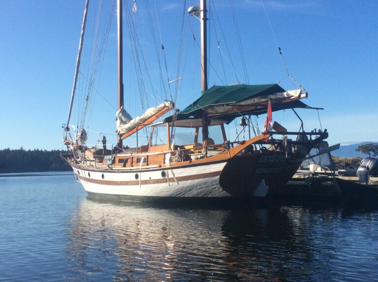 FCDA21FA 535D 4463 906C 68066C8CC0F4 768x574