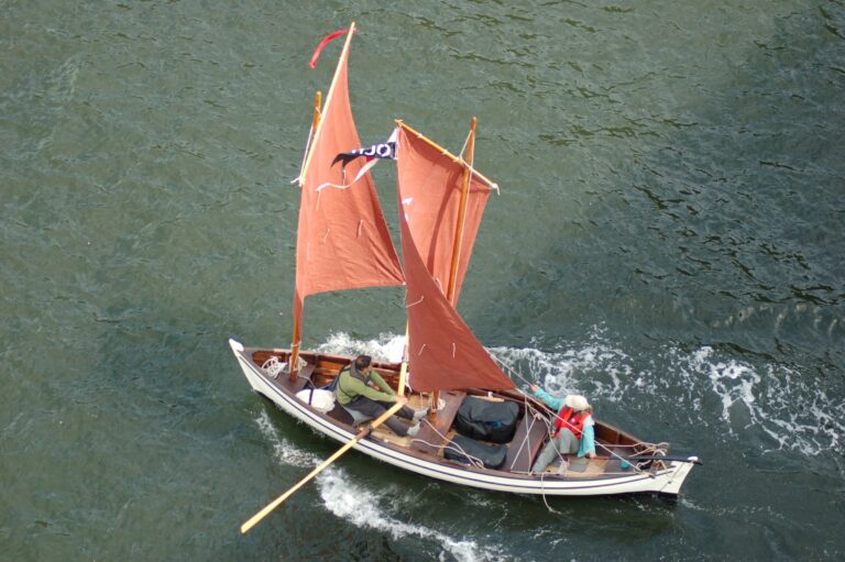 IMG 0143 Original 768x511