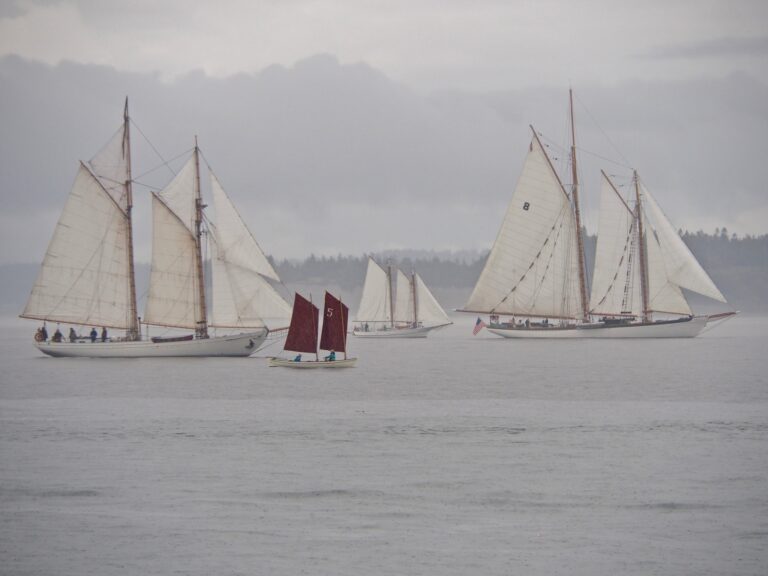 IMG 1782 Original 768x576