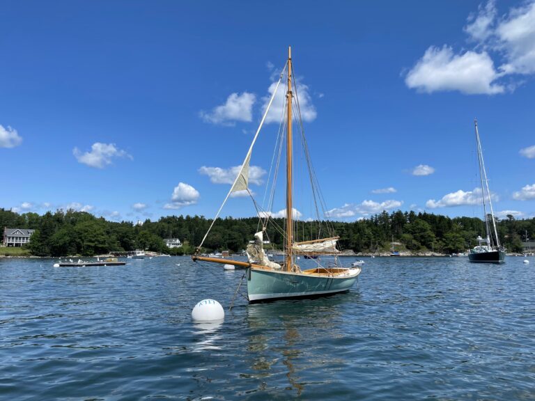 IMG 1811 copy 768x576