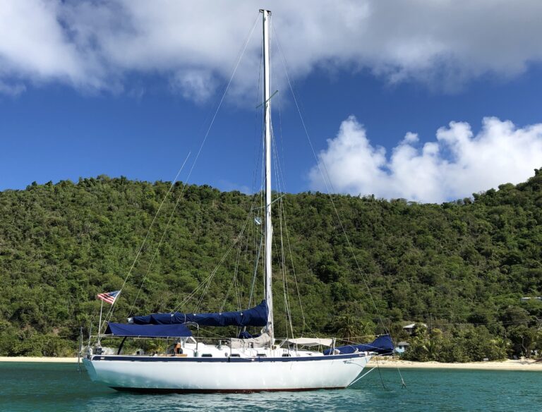 IMG 2878 5 1 768x584