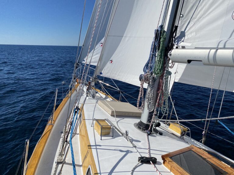 IMG 5258 copy 768x576