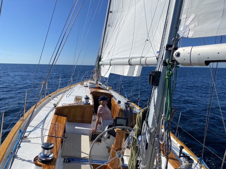 IMG 5265 copy 768x576