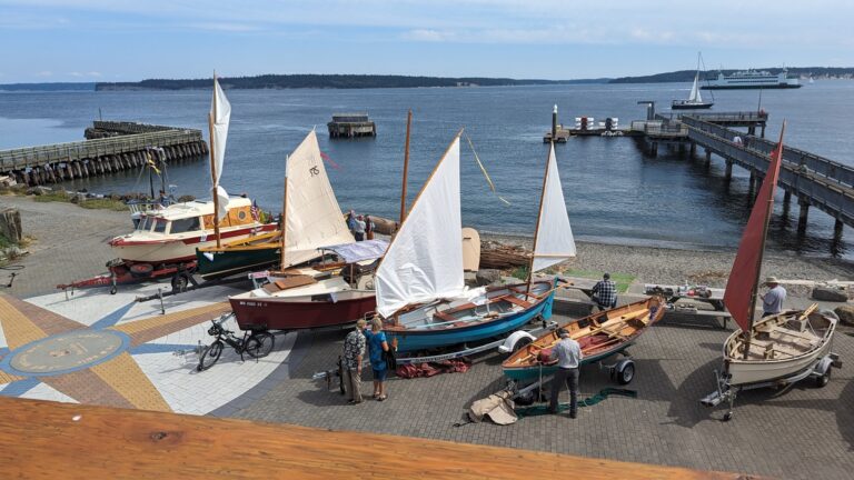 PXL 20230729 222148157 loRes 768x432