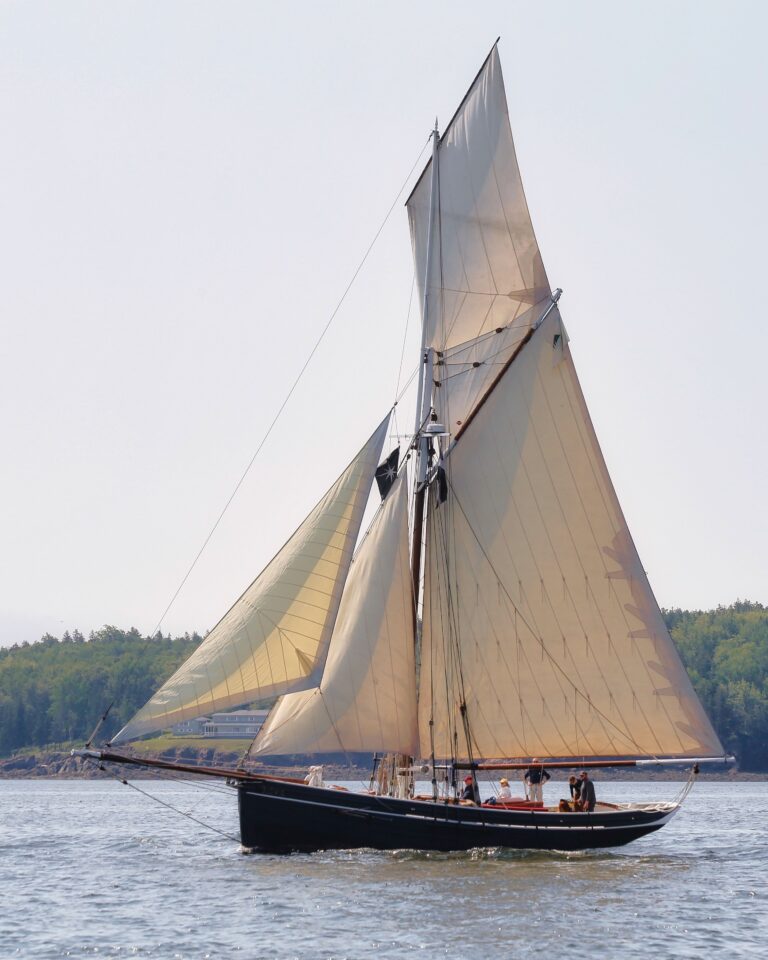 Photo Jul 09 2023 1 45 49 AM 1 768x960