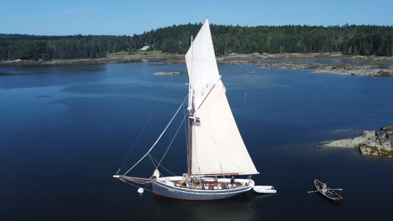 Photo Jul 23 2023 8 48 54 AM 768x432