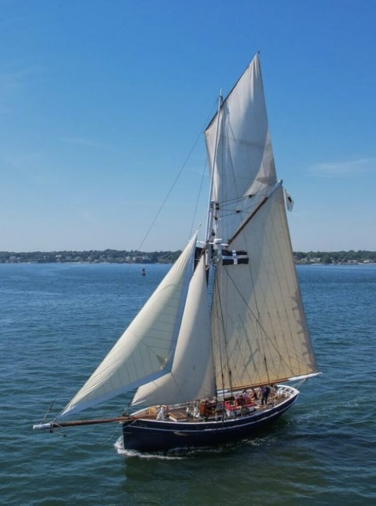 Photo Jun 26 6 47 23 PM 768x1034