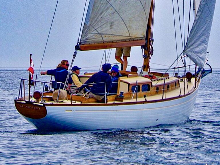 Screen Shot 2023 09 13 at 7.18.59 PM 768x577