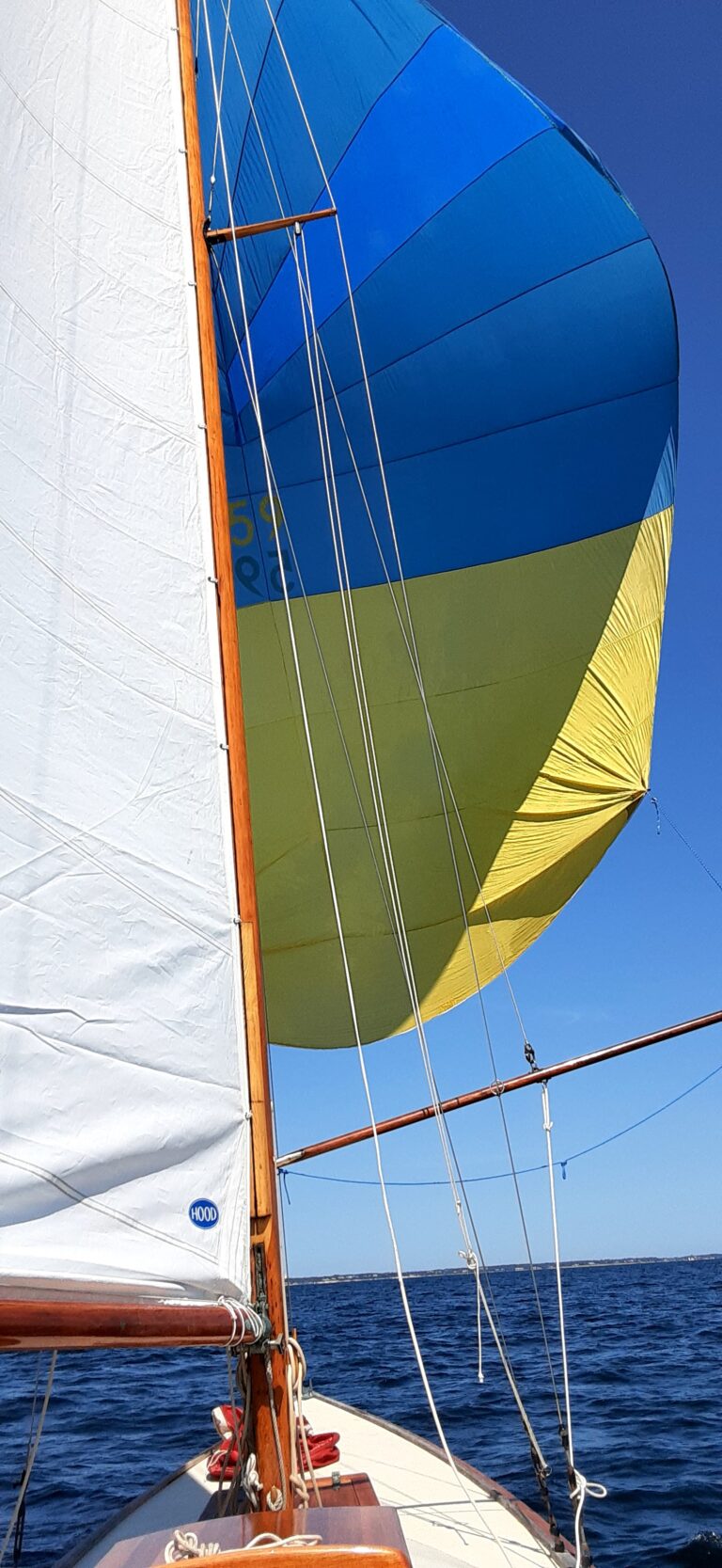 Svek Spinaker 768x1667