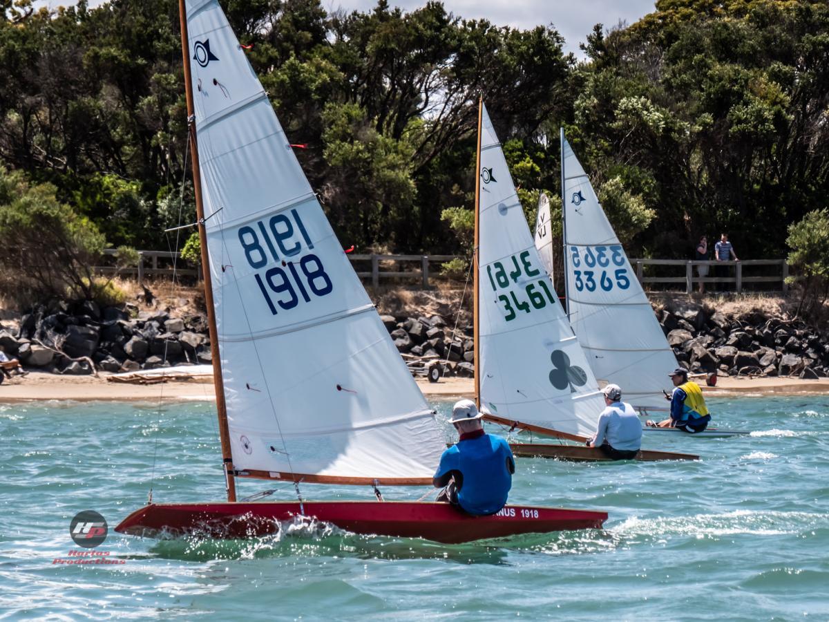 Three Sailfish at ICWDR 2020