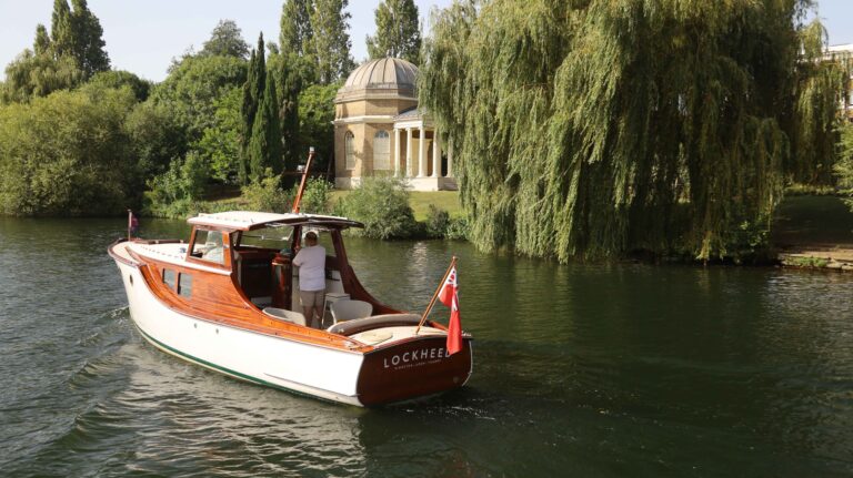 inbound2385951492523212177 768x431