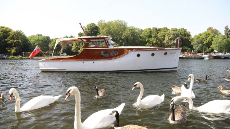 inbound4807071085276649779 768x431