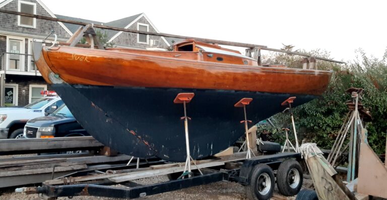 svek trailer 1 768x398