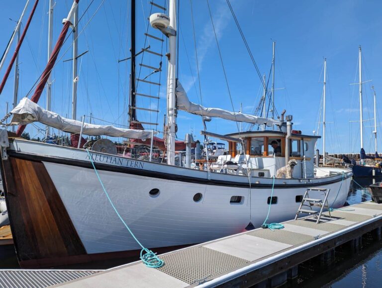 IMG 20230823 140503 768x578