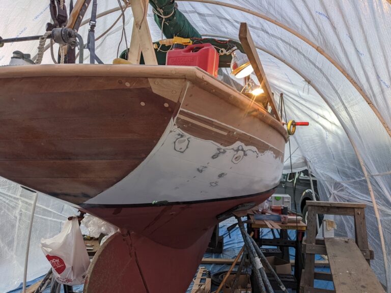 PXL 20220128 011422417 768x576