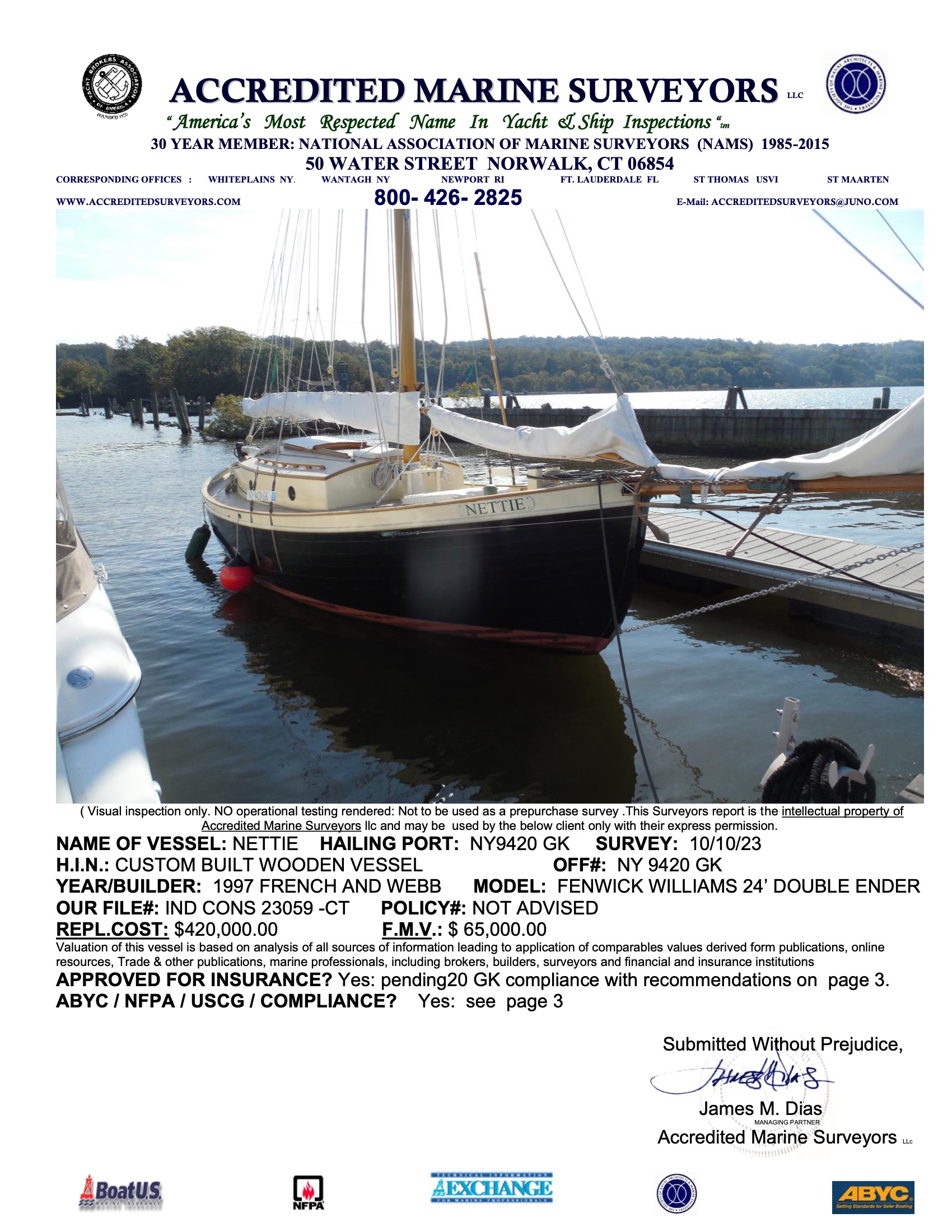 NETTIE Survey Report 1