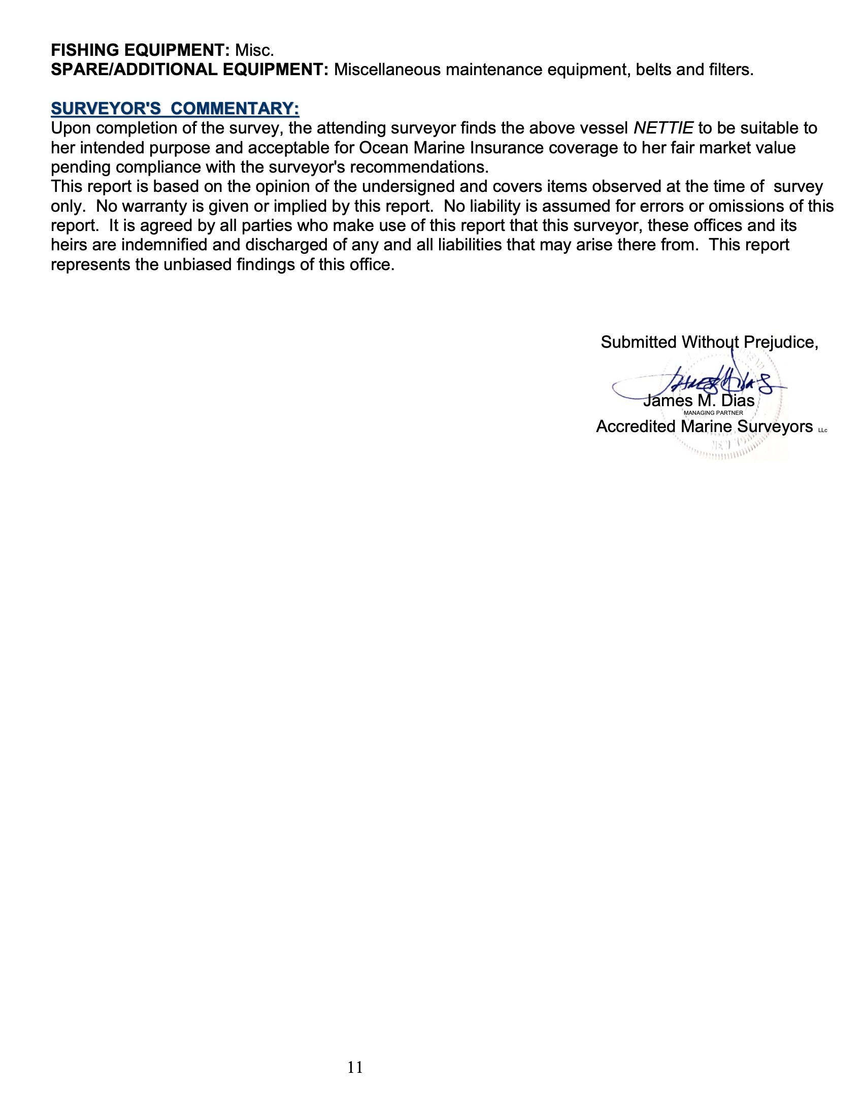 NETTIE Survey Report 11