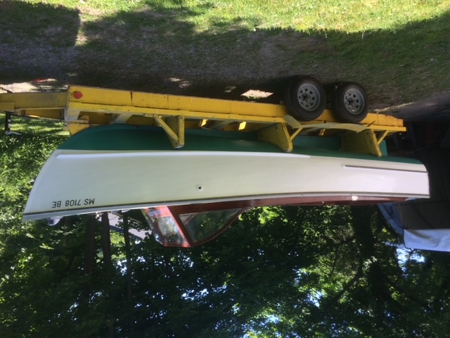 tiger lily on trailer