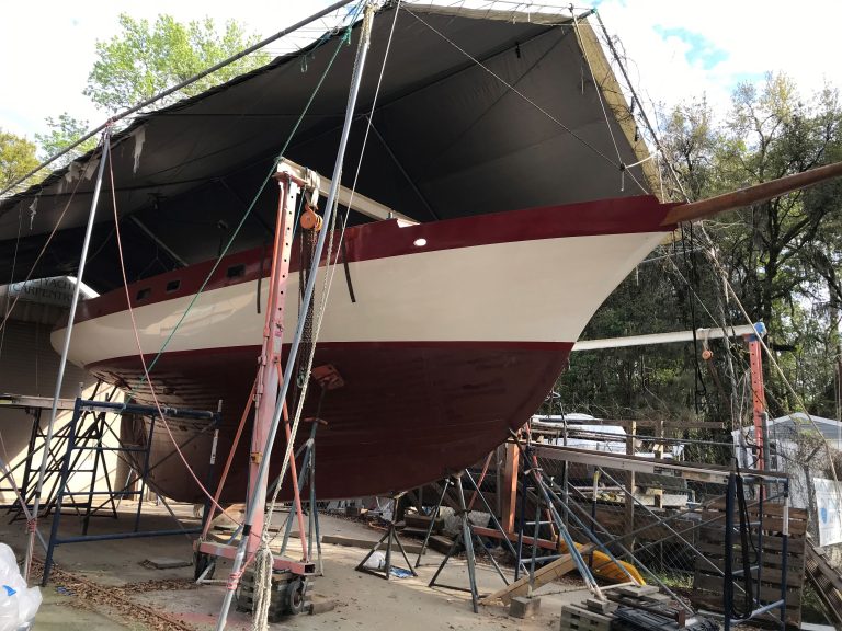 Janet A 2023 1 resized 768x576