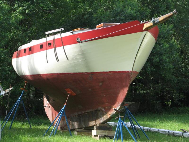 Janet A in Savannah 2