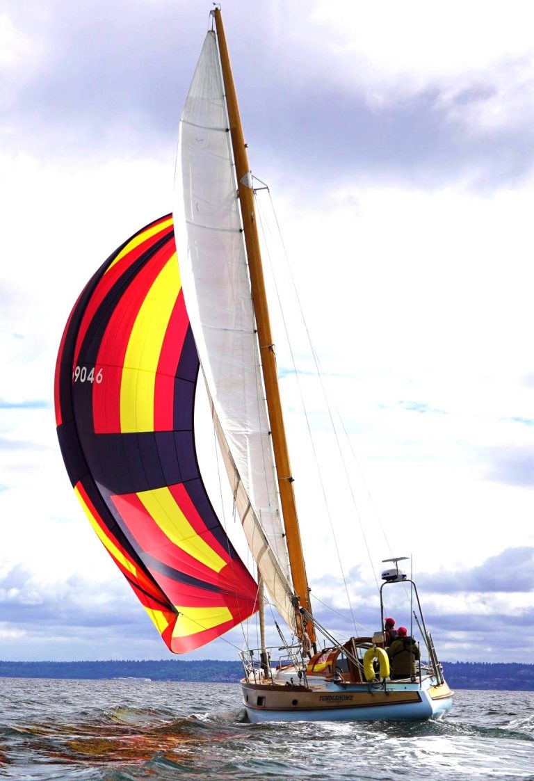 101978440 2918879361500476 2533098999464668268 o 2 768x1123